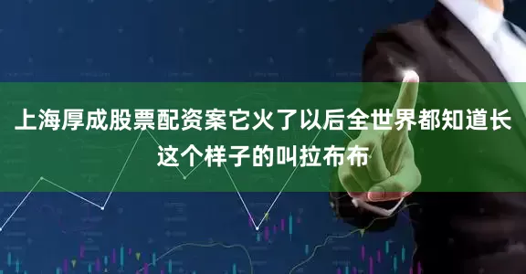 上海厚成股票配资案它火了以后全世界都知道长这个样子的叫拉布布
