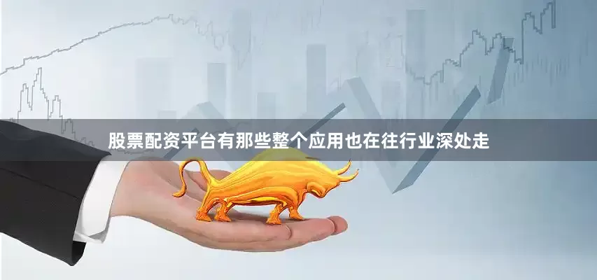 股票配资平台有那些整个应用也在往行业深处走